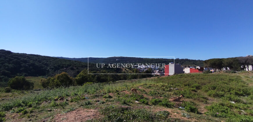 Beautiful building plot in Tangier, Boubana Forest
