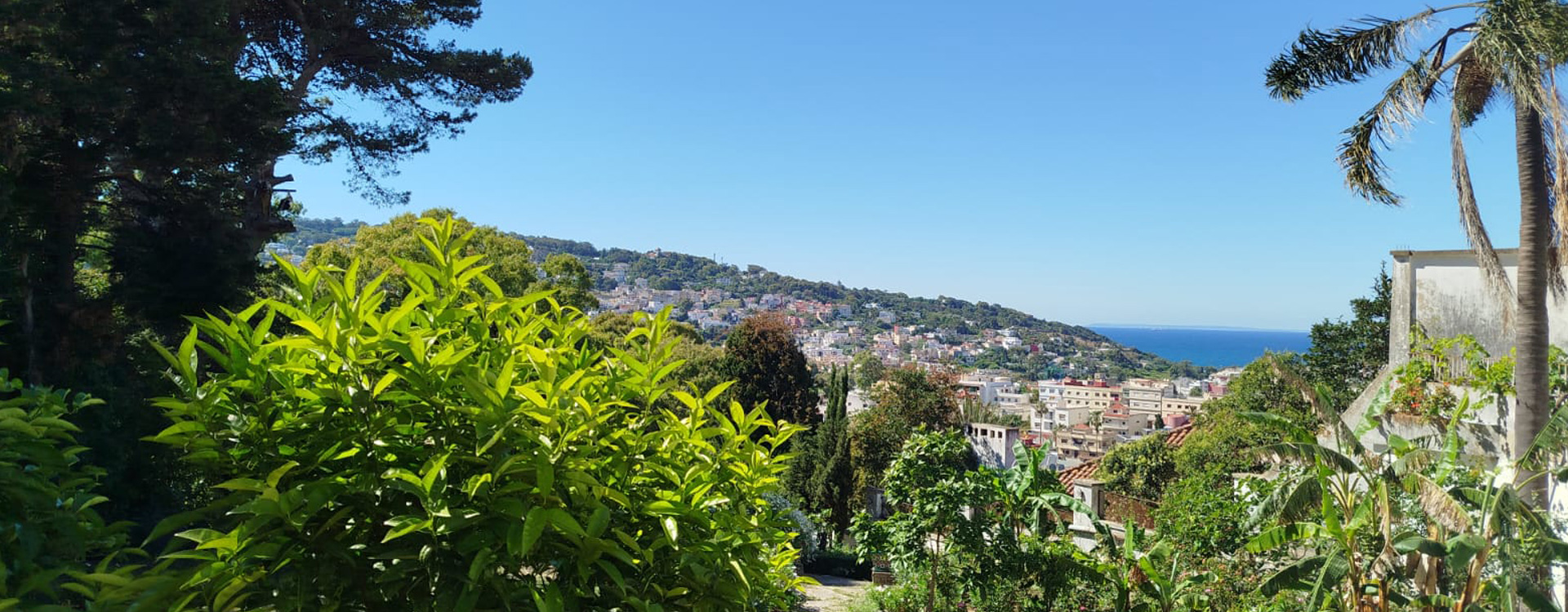 real-estate-tangier-exclusive-properties-slide-home-v4 homepage luxury real estate agency in Tangier & properties