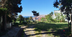 Exceptional 1950’s villa for sale in Tangier, nestled in a large garden