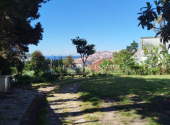 Exceptional 1950’s villa for sale in Tangier, nestled in a large garden
