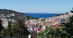 Exceptional 1950’s villa for sale in Tangier, nestled in a large garden