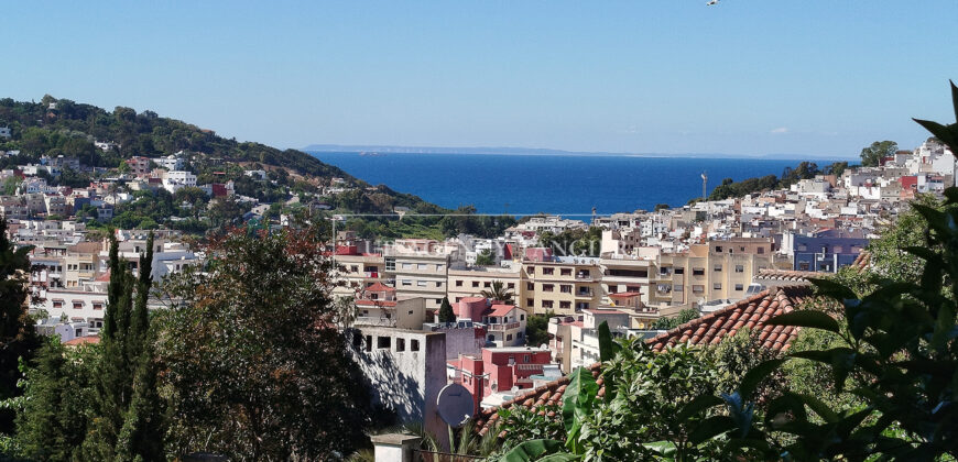 Exceptional 1950’s villa for sale in Tangier, nestled in a large garden