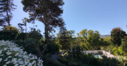 Exceptional 1950’s villa for sale in Tangier, nestled in a large garden