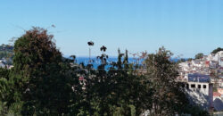 Exceptional 1950’s villa for sale in Tangier, nestled in a large garden