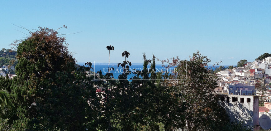 Exceptional 1950’s villa for sale in Tangier, nestled in a large garden