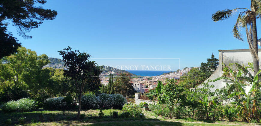 Exceptional 1950’s villa for sale in Tangier, nestled in a large garden