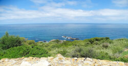 Exceptional building plot. Malabata (23.000 m2)