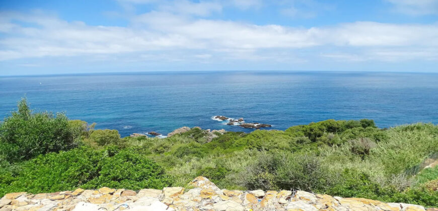 Exceptional building plot. Malabata (23.000 m2)