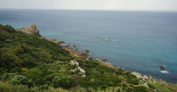 Beautiful building plot near Tangier, towards Ksar Sghir (10.000 m2)