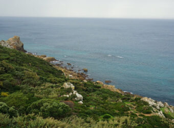 Beautiful building plot near Tangier, towards Ksar Sghir (10.000 m2)