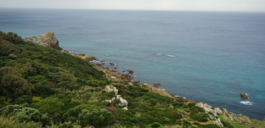Beautiful building plot near Tangier, towards Ksar Sghir (10.000 m2)