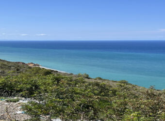 Exceptional building plot. Malabata (40.000 m2)